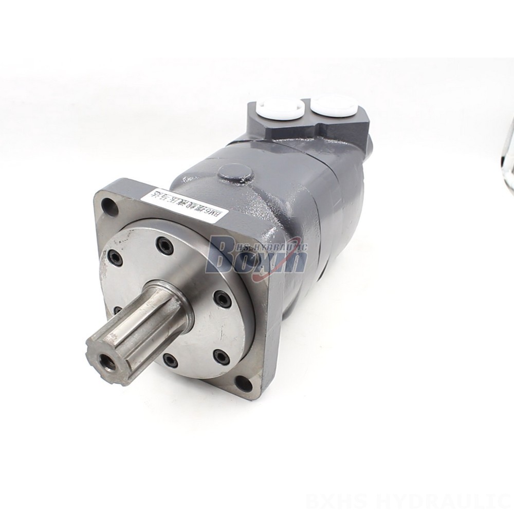 BM6 Cycloid Hydraulic Motor: Partnership Opportunities for Global Distributors cover photo